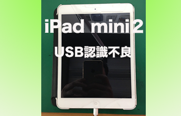 iPad mini2-usb